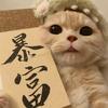 栗宝（减肥ing）
