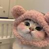 p图喵咪🐱