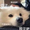 信仰呀