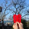 小王子