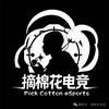 摘棉花电竞