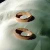 多重人格的房间