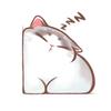 贪睡猫