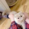 凌溶池鱼🐱