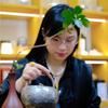 让你从茶小白到茶师