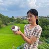 五谷慢养鸽—广丰小余
