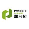 潘多拉电竞馆(中南路店)官方号