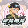 微竞电竞(三角洲行动)