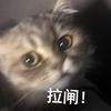 扑满大王（洛克王国）