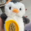懵圈小企鹅🐧