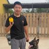 小马爱驯犬