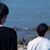 Qstellis-