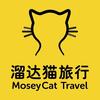 溜达猫海岛游