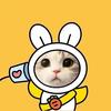 奇遇の手作