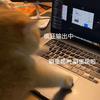 随便记点