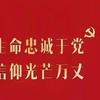 乞儿好剧