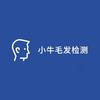 @小牛毛发检测