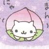 茶帛