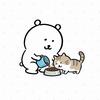 头牌福猫