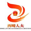 西畴人大
