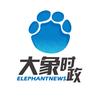 大象时政