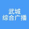武城县融媒体中心综合广播