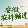 安徽农科频道