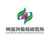 宾川纳溪河葡萄研究所