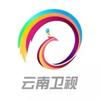 云南卫视