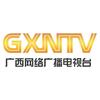 广西网视