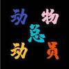 动物 总动员