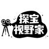探宝视野家