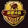 深圳深普大队俱乐部