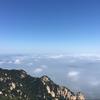 大鱼DAYU