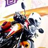 鈈離吥棄