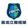 黑龙江橄榄球