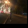 沭阳玲玲二手机（极客数码）