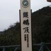 小马不迷路