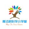 魔法树科学小学堂