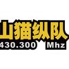 山猫纵队