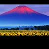 抖音抖音