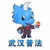 武汉普法