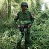 曾经的战地医生