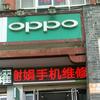 🌻谢娟oppo🌻