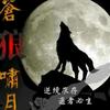 来自北方的狼〈73/03/29/姓王〉