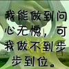 晨飞