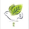 红鹦鹉