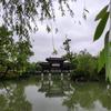 霁月风光