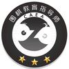 高级围棋教育指导师