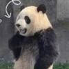 第二十五次潮汐